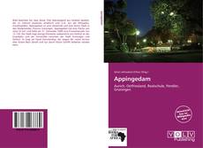 Portada del libro de Appingedam