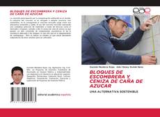 BLOQUES DE ESCOMBRERA Y CENIZA DE CAÑA DE AZUCAR kitap kapağı