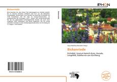 Bookcover of Bickenriede