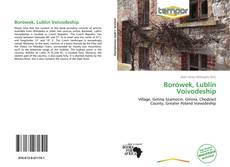 Portada del libro de Borówek, Lublin Voivodeship