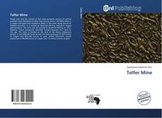 Bookcover of Telfer Mine