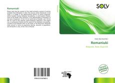 Bookcover of Romaniuki