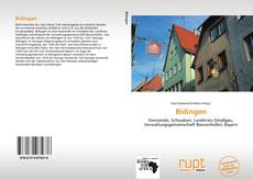 Buchcover von Bidingen