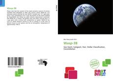 Buchcover von Wasp-3B