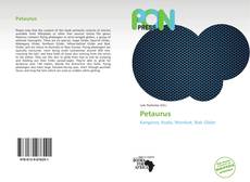 Bookcover of Petaurus