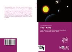 Portada del libro de 8391 Kring