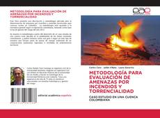 METODOLOGÍA PARA EVALUACIÓN DE AMENAZAS POR INCENDIOS Y TORRENCIALIDAD kitap kapağı
