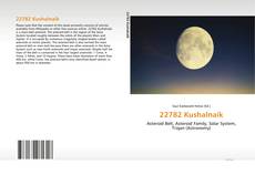 Buchcover von 22782 Kushalnaik