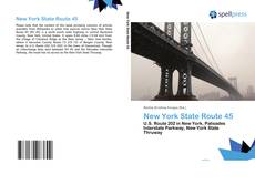 New York State Route 45 kitap kapağı
