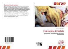Sepioloidea Lineolata的封面