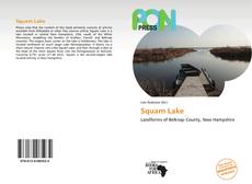 Capa do livro de Squam Lake 