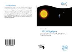 Bookcover of 11313 Kügelgen