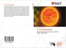 Copertina di 11133 Kumotori