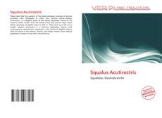 Обложка Squalus Acutirostris