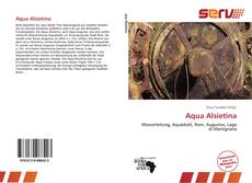 Capa do livro de Aqua Alsietina 