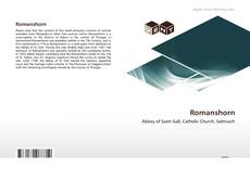 Romanshorn kitap kapağı