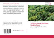 Valoración de Servicios Ambientales的封面