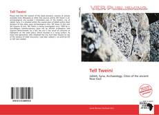 Portada del libro de Tell Tweini