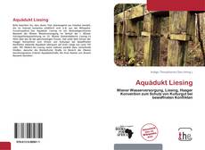 Capa do livro de Aquädukt Liesing 