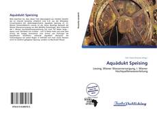 Buchcover von Aquädukt Speising