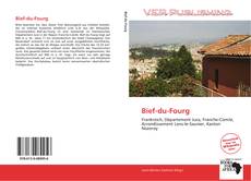 Capa do livro de Bief-du-Fourg 