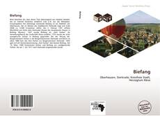 Buchcover von Biefang