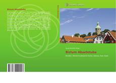 Bookcover of Bistum Abaetetuba