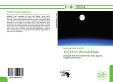 Capa do livro de 10613 Kushinadahime 