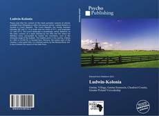 Bookcover of Ludwin-Kolonia