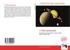 Couverture de 11743 Jachowski