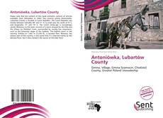 Buchcover von Antoniówka, Lubartów County