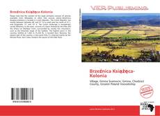 Capa do livro de Brzeźnica Książęca-Kolonia 