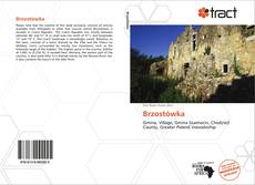 Bookcover of Brzostówka