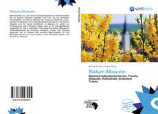 Bistum Albacete kitap kapağı