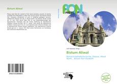 Capa do livro de Bistum Aliwal 