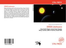 Buchcover von 25025 Joshuavo