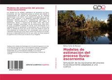 Buchcover von Modelos de estimación del proceso lluvia-escorrentía