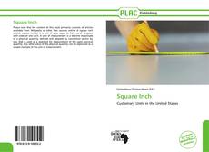 Capa do livro de Square Inch 