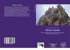 Bistum Armenia kitap kapağı