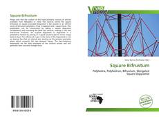 Buchcover von Square Bifrustum