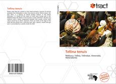 Bookcover of Tellina tenuis