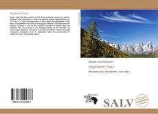 Buchcover von Septimer Pass