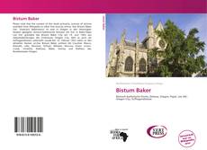 Bookcover of Bistum Baker