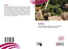 Capa do livro de Kalsko 