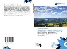 Bookcover of Drzeniów, Słubice County