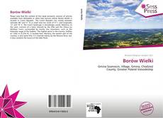 Bookcover of Borów Wielki