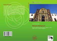 Bookcover of Bistum Belgaum