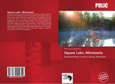 Bookcover of Squaw Lake, Minnesota