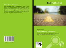 Bookcover of Tellico Plains, Tennessee