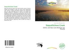 Portada del libro de Sequalitchew Creek